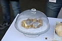 VBS_5700 - 10.ma Fiera Nazionale del Tartufo e Fiera dei Santi